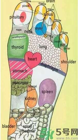 發(fā)燒可以吃洋蔥嗎？發(fā)燒能吃洋蔥嗎？