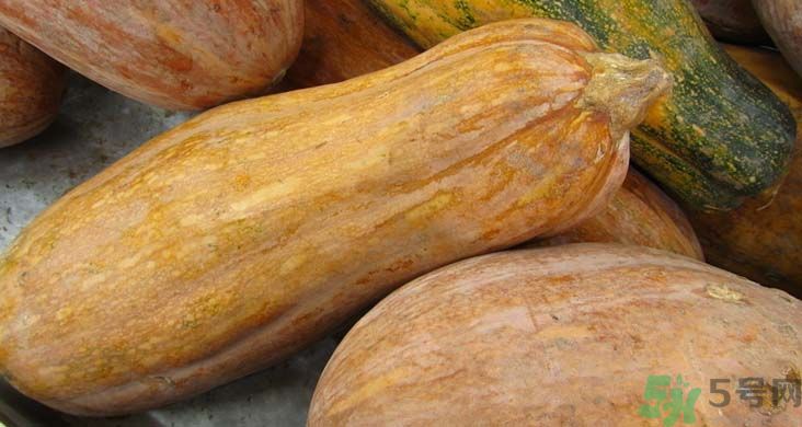 南瓜可以去濕氣嗎?吃南瓜的好處和壞處 南瓜可以去濕氣嗎?吃南瓜的好處和壞處