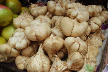 涼薯吃多了好嗎？地瓜吃多了會上火嗎？