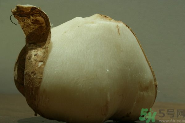 涼薯吃多了好嗎？地瓜吃多了會(huì)上火嗎？