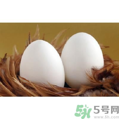 鵝蛋可以清火嗎？鵝蛋可以降火嗎？