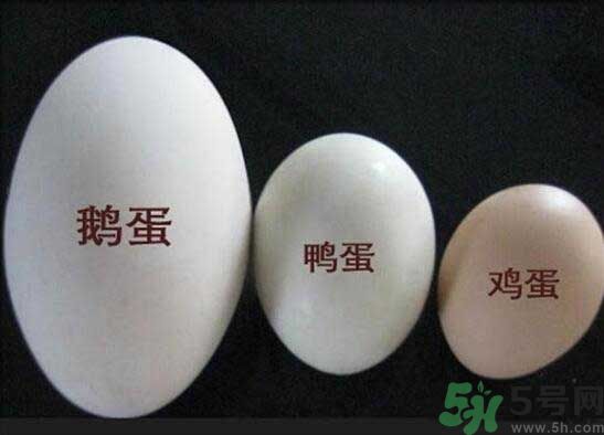 鵝蛋和鴨蛋哪個(gè)好？鵝蛋和鴨蛋哪個(gè)清火效果好？