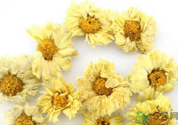 菊花晶有什么功效？菊花晶的功效是什么？