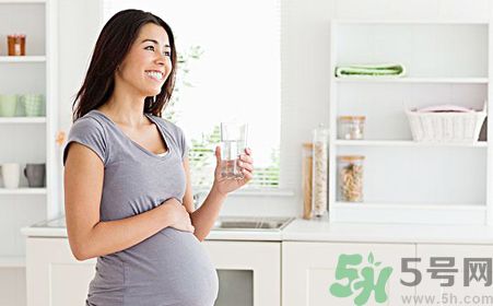 孕婦可以喝菊花晶嗎？孕婦能喝菊花