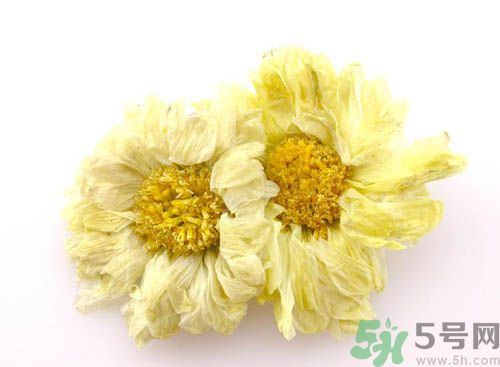 菊花晶能喝綠豆湯一起喝嗎？菊花晶和綠豆湯可以一起喝嗎？