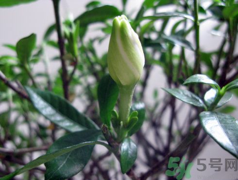 1462958632988079.jpg 4a2416fdt6ade05b2be05&690.jpg