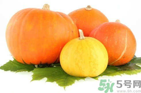 南瓜是熱性的嗎?南瓜是熱性還是涼性 南瓜是熱性的嗎?南瓜是熱性還是涼性