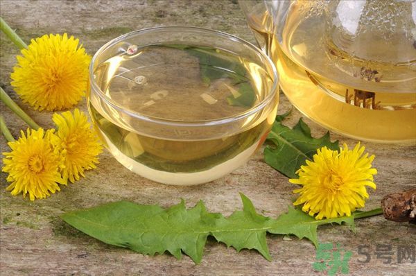 蒲公英泡茶有什么功效？蒲公英泡茶的功效是什么？