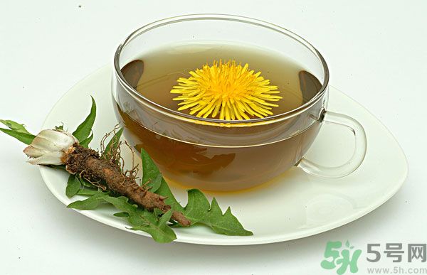 蒲公英根泡茶好還是蒲公英葉泡茶好？蒲公英根和葉哪個效果好？