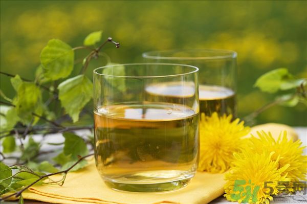 蒲公英泡水喝有副作用嗎？蒲公英泡水喝要注意什么？