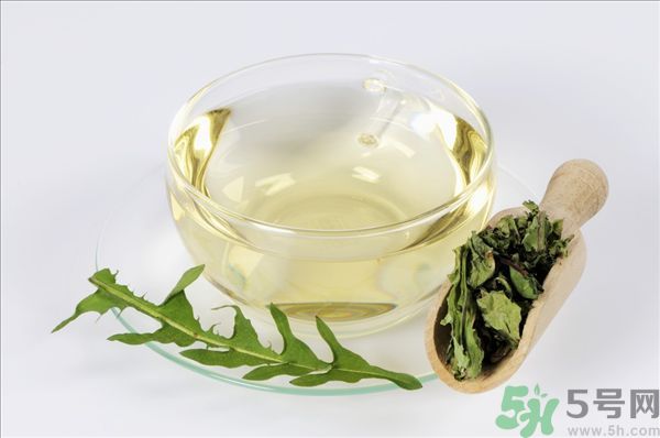 蒲公英泡水喝有副作用嗎？蒲公英泡水喝要注意什么？