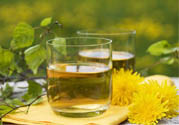 蒲公英泡水喝有副作用嗎？蒲公英泡水喝要注意什么？
