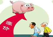 豬肉價(jià)格為什么驚動(dòng)世界？豬肉價(jià)格一直上漲的原因是什么？