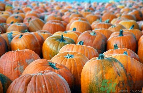 吃南瓜會(huì)過(guò)敏嗎?南瓜過(guò)敏怎么辦 吃南瓜會(huì)過(guò)敏嗎?南瓜過(guò)敏怎么辦