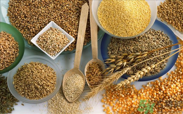 夏天吃蕎麥好嗎？夏天吃蕎麥有什么好處？