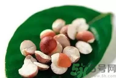 夏天吃芡實(shí)好嗎？夏天吃芡實(shí)有什么好處？