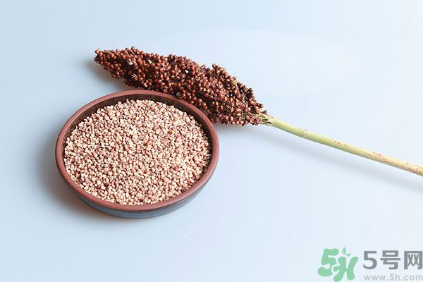 夏天吃高粱好嗎？夏天吃高粱有什么好處？