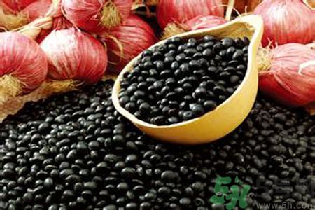 黑豆黑豆芽 黑豆黑豆芽