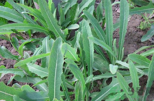 1463045778384441.jpg 14_150510093119_1.jpg