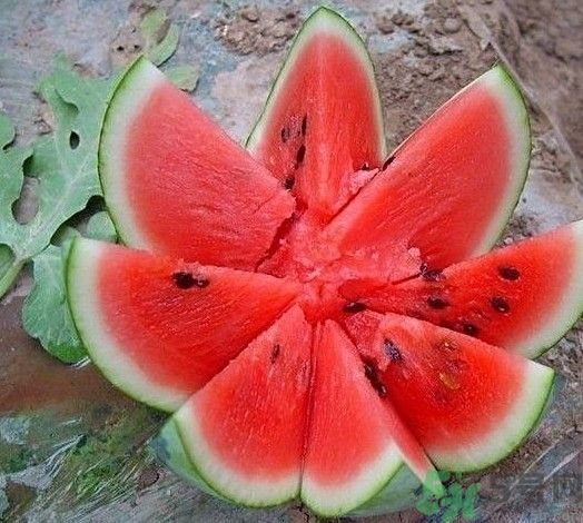 方形西瓜可以吃嗎？方形西瓜有什么好處？