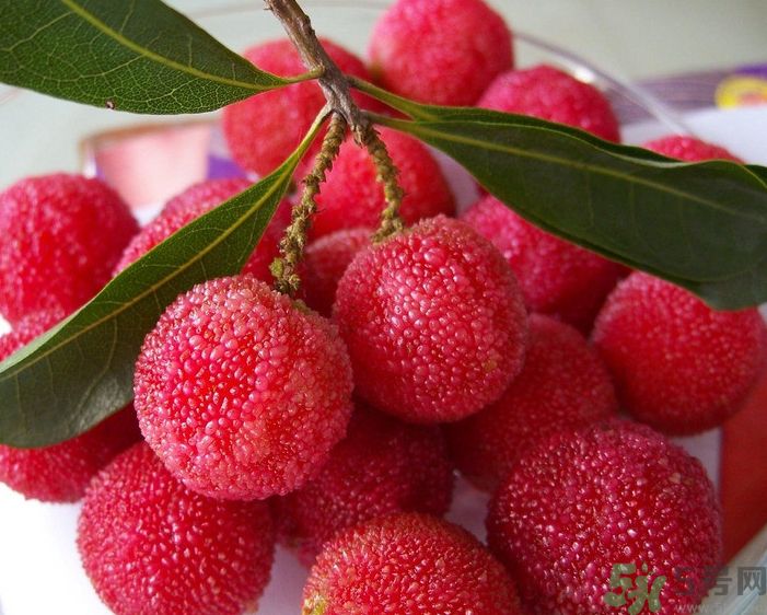 吃楊梅會拉肚子嗎？吃楊梅拉肚子怎么辦？