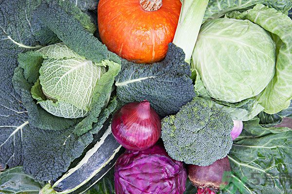 夏天吃什么蔬菜對身體好？什么蔬菜適合夏天吃？