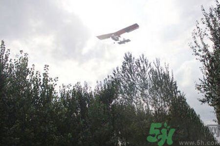 為什么15-25號不要曬被子？什么是美國白蛾？