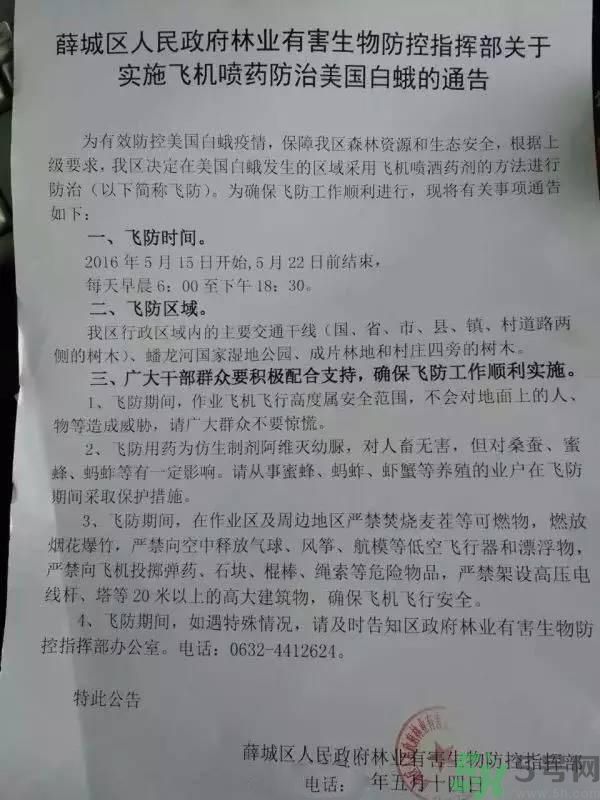 為什么15-25號不要曬被子？什么是美國白蛾？