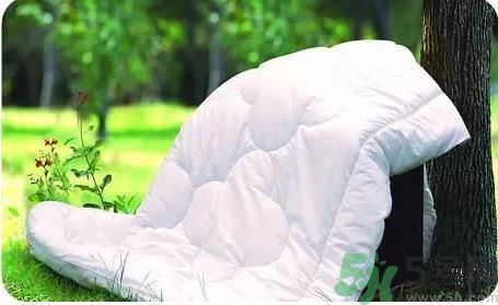 15-25號(hào)不要曬被子是怎么回事？白蛾是什么害蟲？