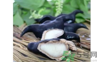 菱角怎么剝完整？菱角剝不開怎么辦？