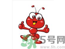 家里有螞蟻怎么辦？驅(qū)除螞蟻的方法是什么？