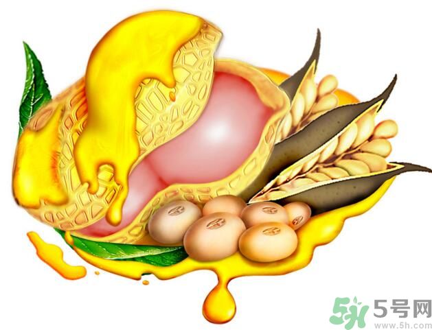 夏天吃哪種油好？什么油適合夏天吃？