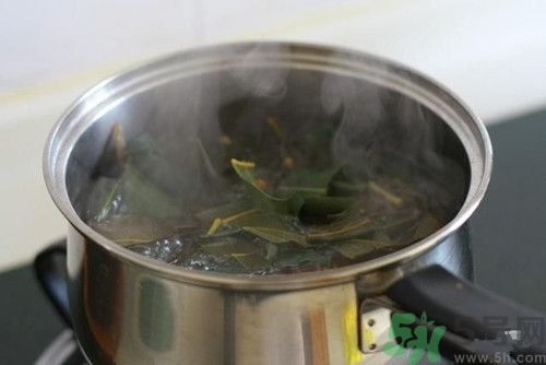 枇杷葉煮水孕婦能喝嗎?孕婦喝枇杷葉煮的水有效嗎 枇杷葉煮水孕婦能喝嗎?孕婦喝枇杷葉煮的水有效嗎