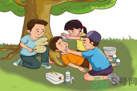 夏季防暑的藥物有哪些 夏季防暑的藥物有哪些