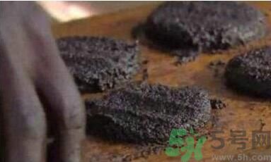 蚊子可以吃嗎？吃蚊子會(huì)怎么樣？