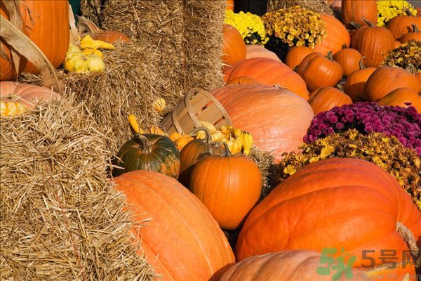 南瓜同魚能一起吃嗎？南瓜和魚一起吃好嗎？