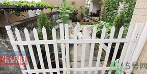 女子打造城市菜園 陽臺可以種什么蔬菜？