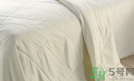 蠶絲被有螨蟲嗎?蠶絲被是不是沒有螨蟲? 蠶絲被有螨蟲嗎?蠶絲被是不是沒有螨蟲?