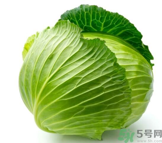 包菜是涼性的嗎？包菜是涼性還是熱性的？