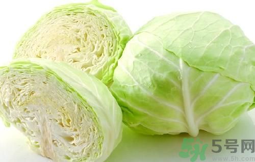 包菜不能和什么一起吃？包菜和什么相克？