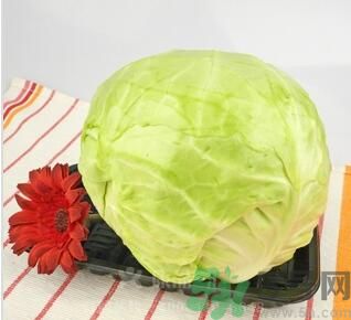 孕婦可以吃包菜嗎？孕婦吃包菜好嗎？