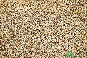 吃辣椒可以去除濕氣嗎？辣椒能去濕氣嗎？