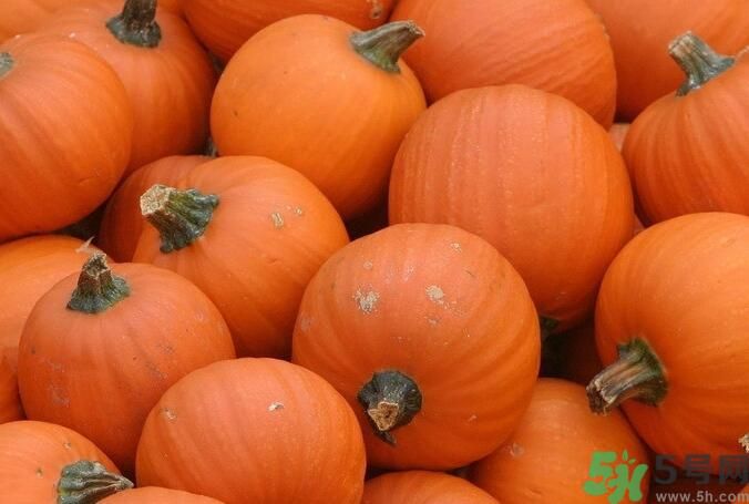 南瓜和羊肉能一起吃嗎？南瓜可以和羊肉一起吃嗎？