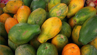 咳嗽能吃木瓜嗎？咳嗽吃木瓜好不好？