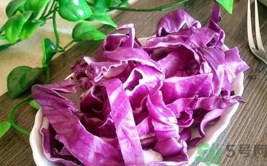 紫甘藍和包菜有什么區(qū)別？紫甘藍是包菜嗎？