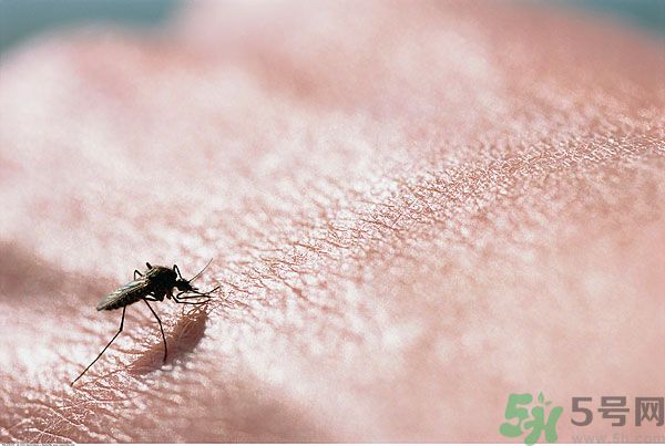 1463538991884748.jpg mf700-00639575.jpg