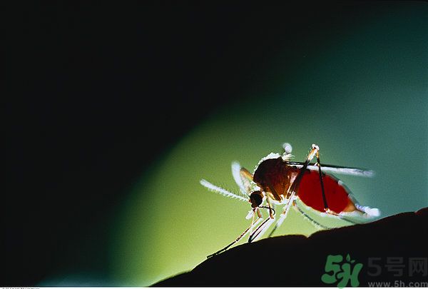 1463539000503900.jpg mf700-00015598.jpg