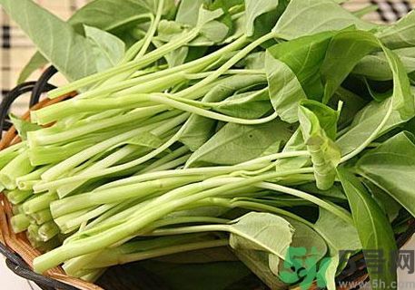 空心菜是熱性還是涼性?空心菜是涼性的嗎? 空心菜是熱性還是涼性?空心菜是涼性的嗎?