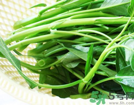 空心菜是熱性還是涼性?空心菜是涼性的嗎? 空心菜是熱性還是涼性?空心菜是涼性的嗎?