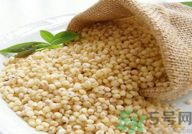 高粱米可以包粽子嗎？高粱米可以用來包粽子嗎？